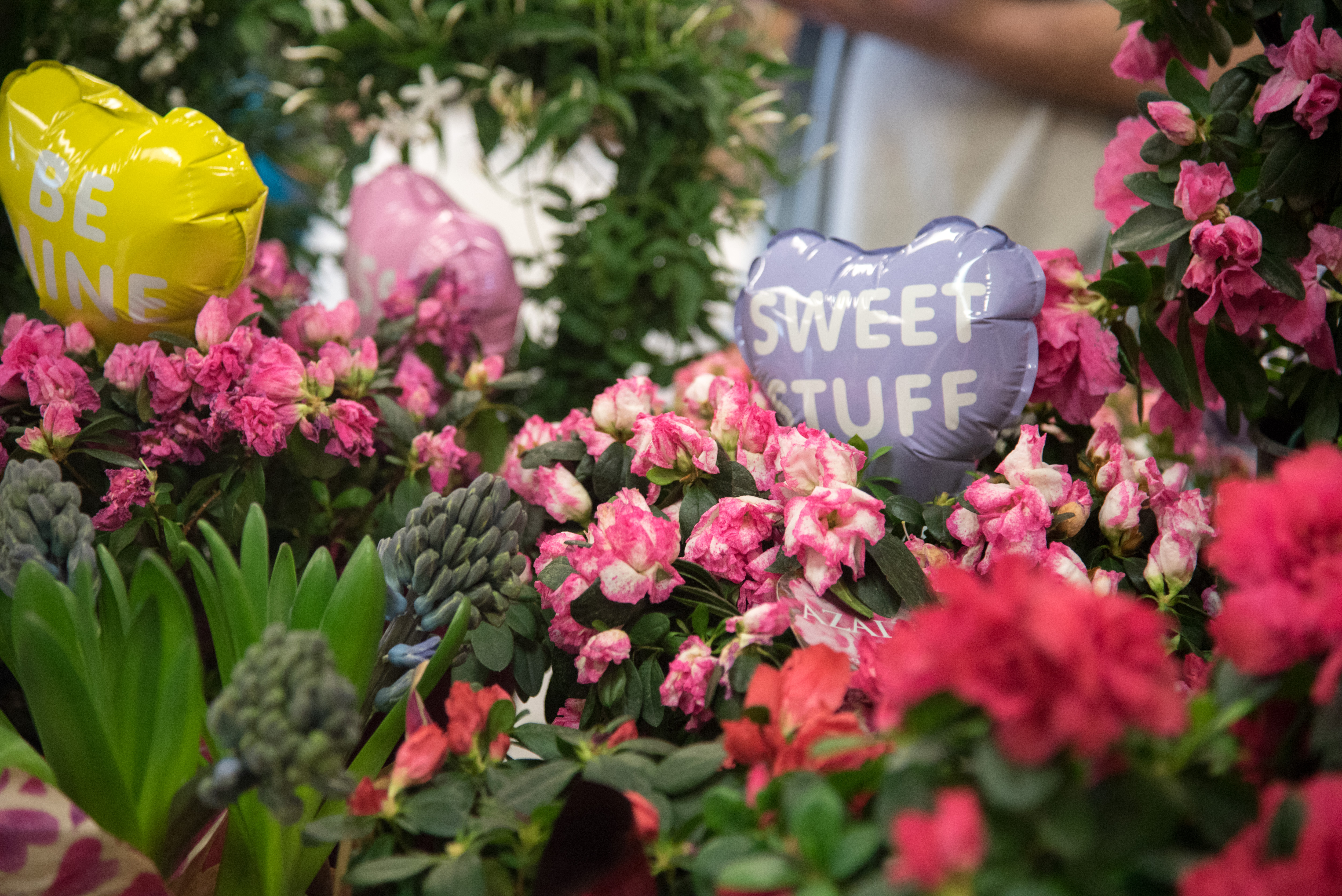 Valentine's Day- Feb 2018