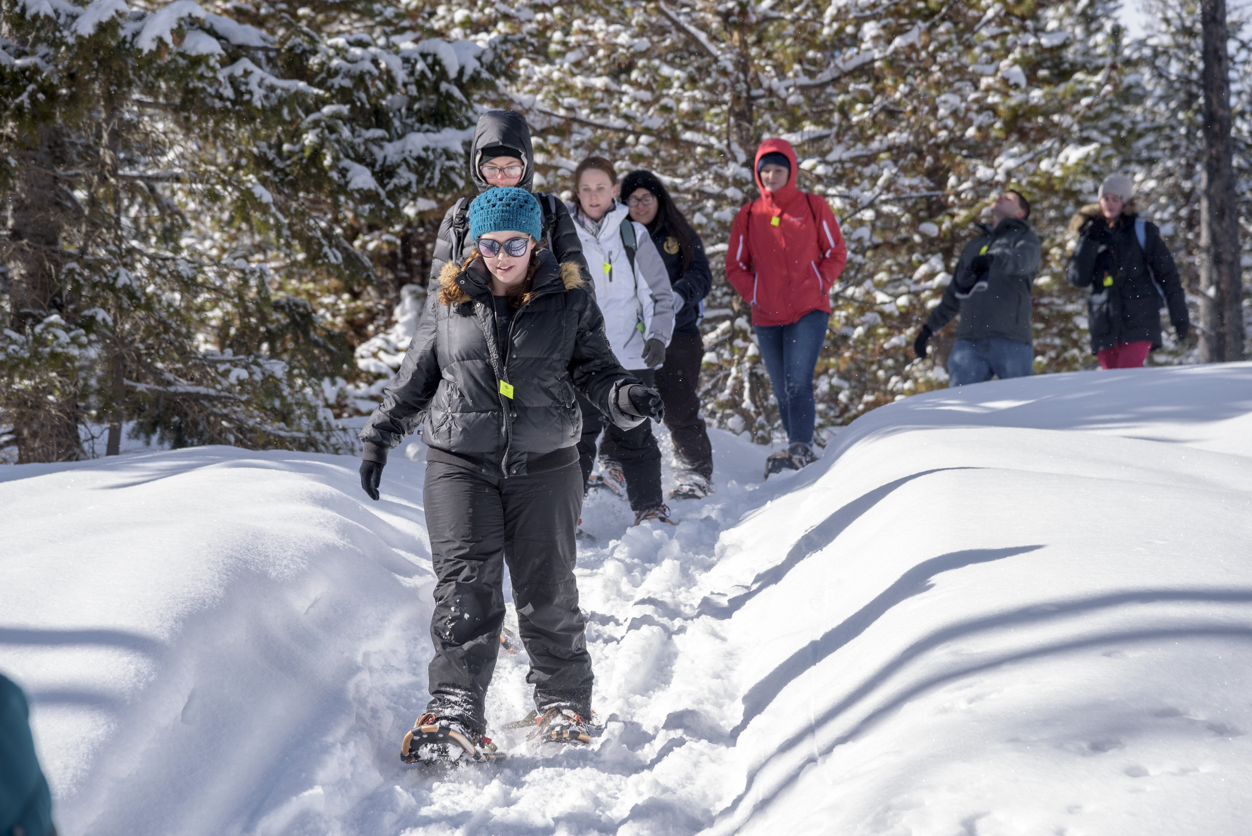 Snowshoeing
