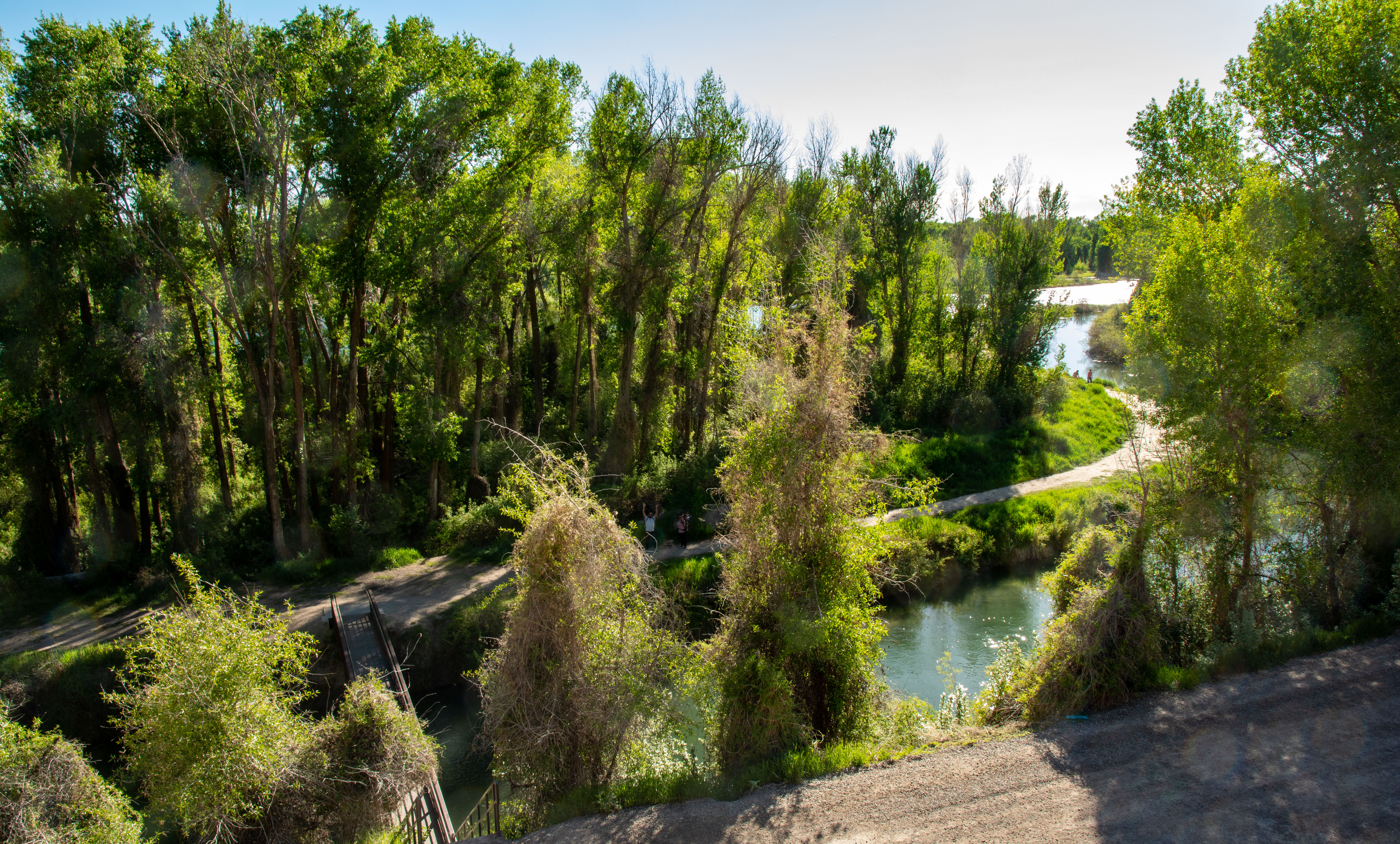 Cress Creek Trail - May 2021