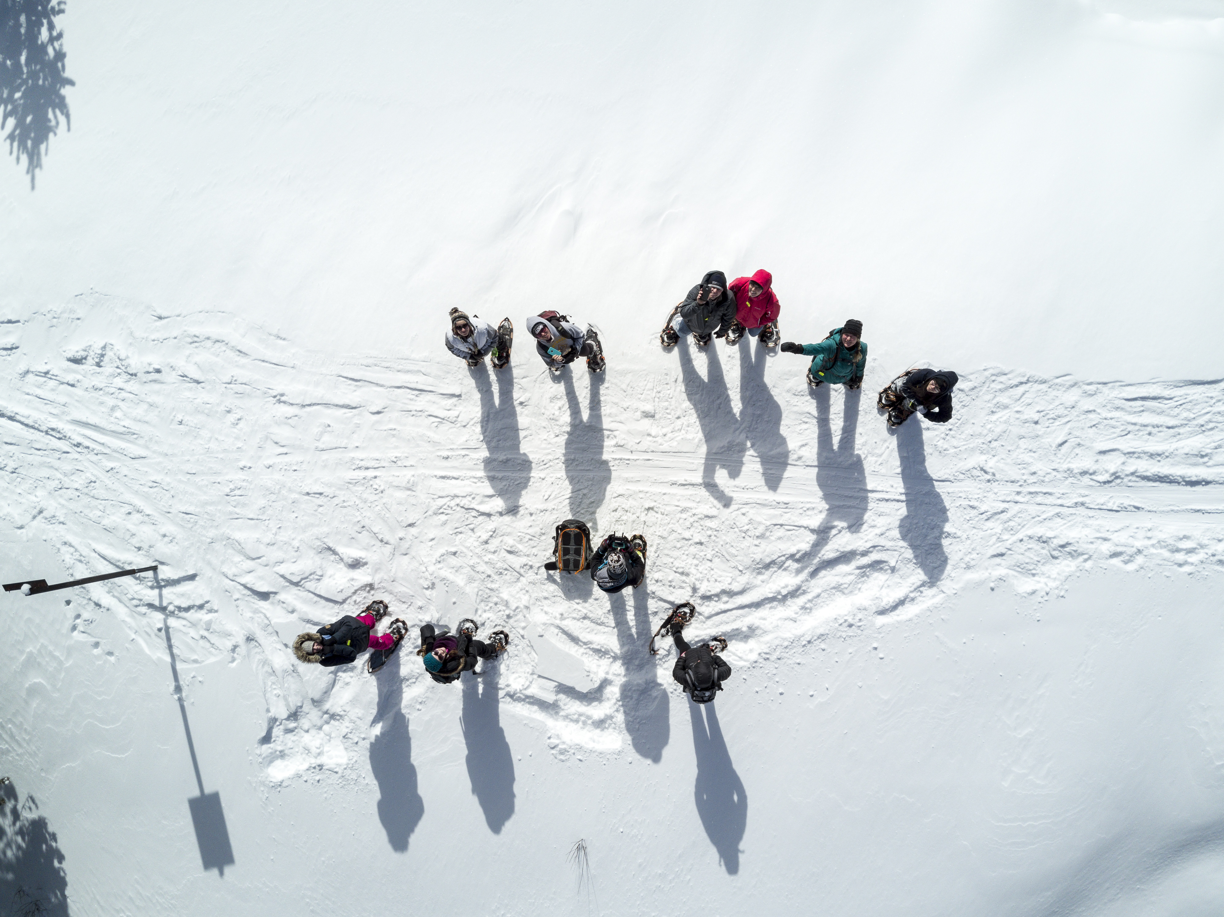 Snowshoeing