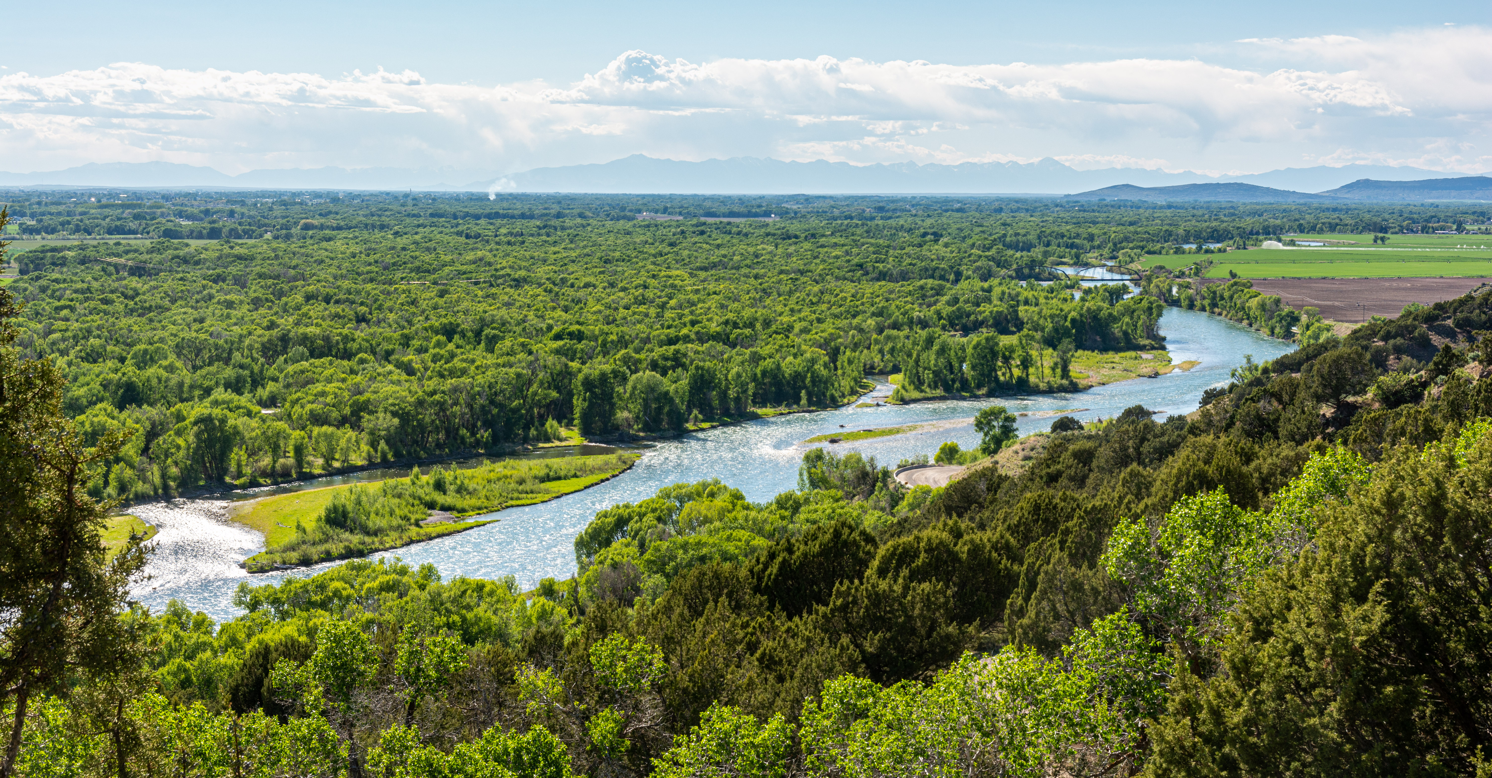 Cress Creek Trail - May 2021