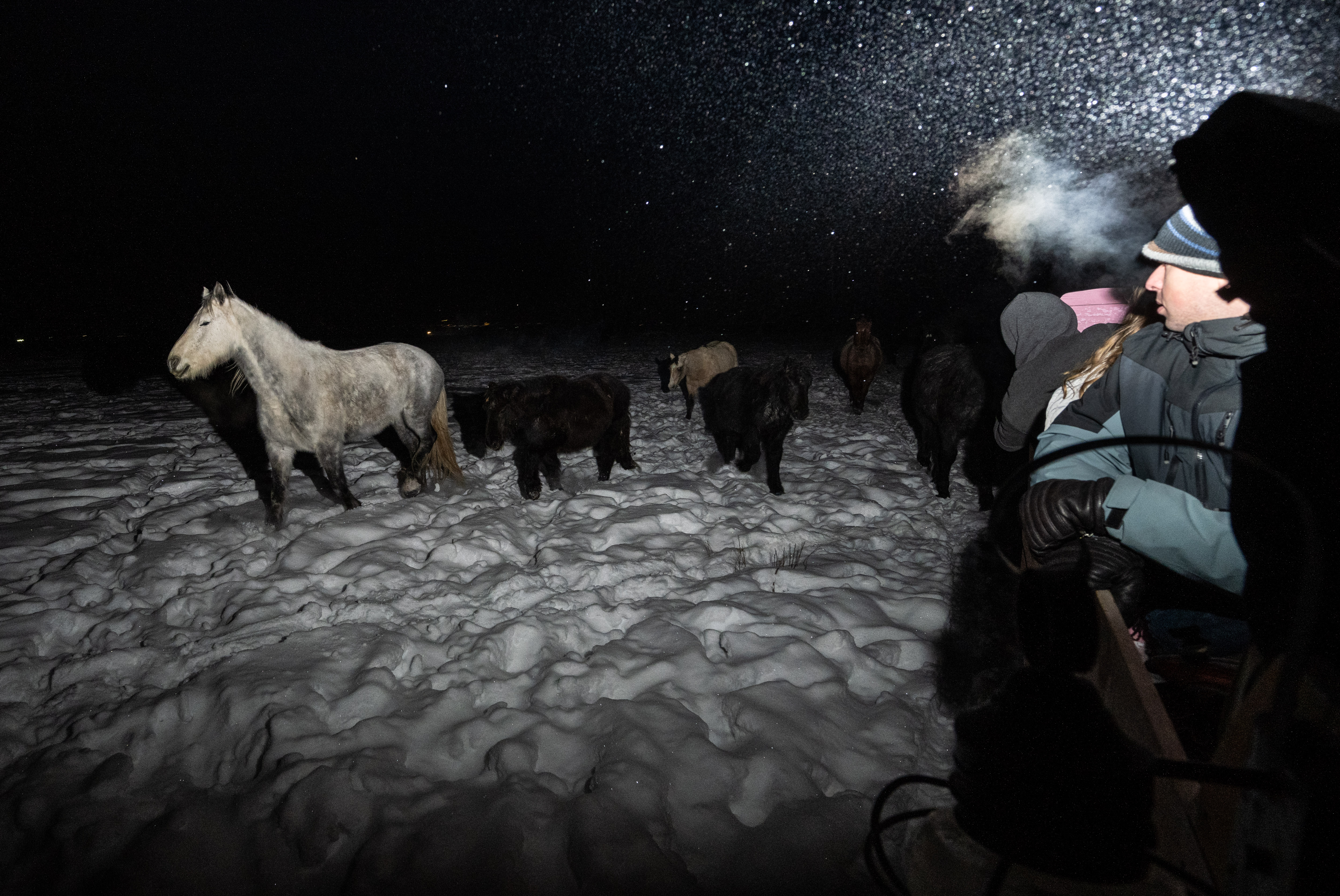 Sleigh Ride -Jan 2022