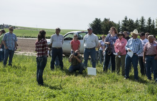 Ag students get the opportunity to show off their wheat crops during Ag Days.