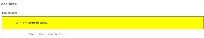 The image shows a selected course remains on the screen which gives the course number and the semester the course is registered for (for example, Winter 2023). 