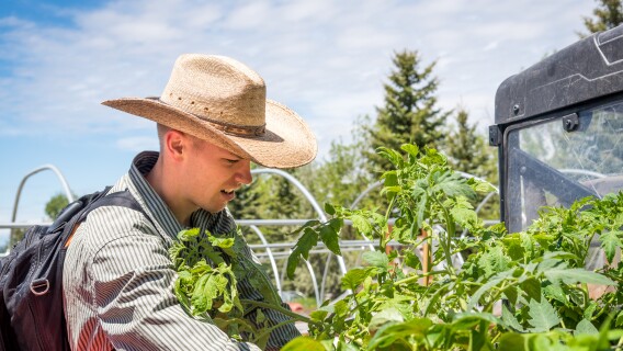 A horticulture student cares for plants in the BYU-Idaho garden.