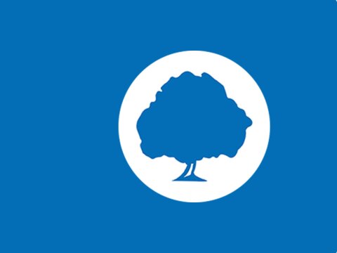 Oak-tree-blue-bg.jpg