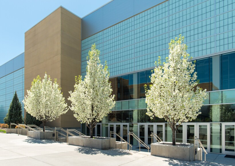 Photo features a general campus scene. Spring time on campus.