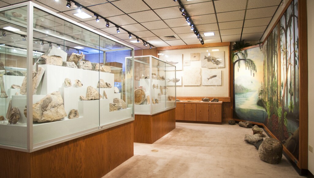 A set of geology displays at the Romney Museum