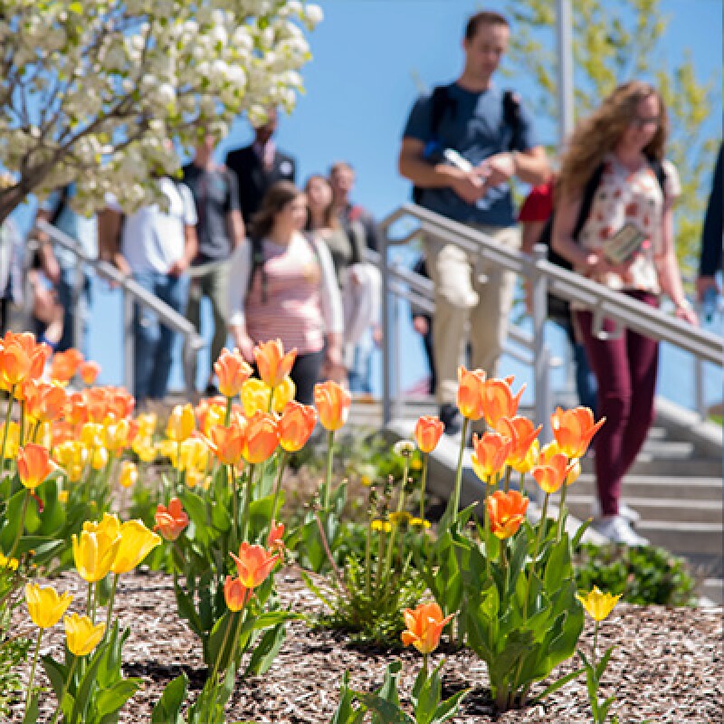 A crowd of students on campus during spring semester