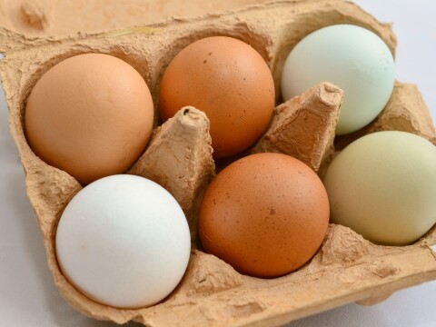 Eggs in a carton.
