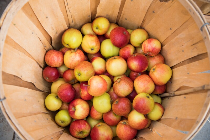 A crate with apples in it