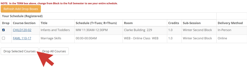 The image shows a list of registered courses with a small square on the left side of each course. One of the courses is selected, which shows the square filled with a check mark. The Drop Selected Courses button is located on the bottom left side of the webpage.