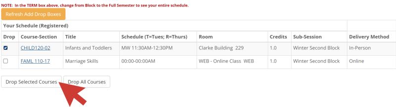 The image shows a list of registered courses with a small square on the left side of each course. One of the courses is selected, which shows the square filled with a check mark. The Drop Selected Courses button  is located on the bottom left side of the webpage.