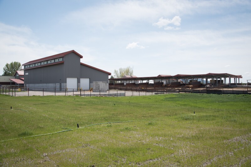 Livestock Center