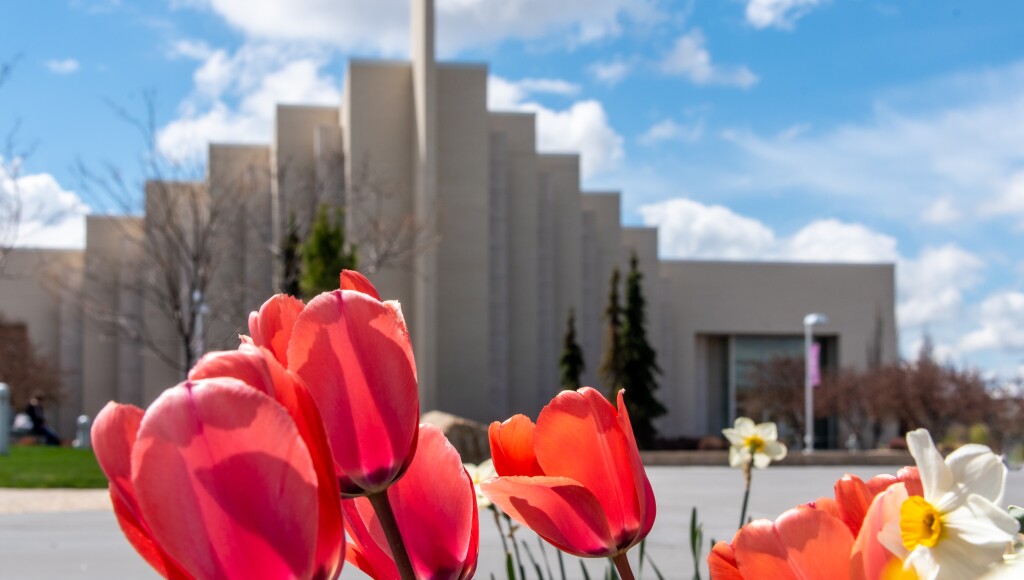Spring Flowers on Campus - May 2021