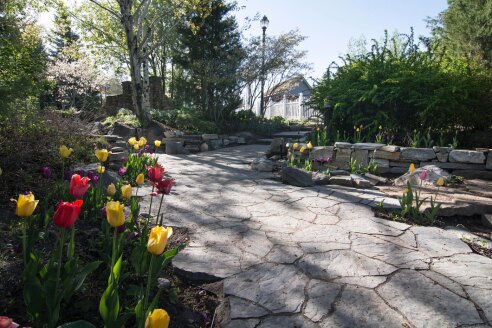 Flowers in the Gardens