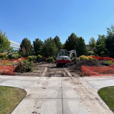 Clearing the site.jpg