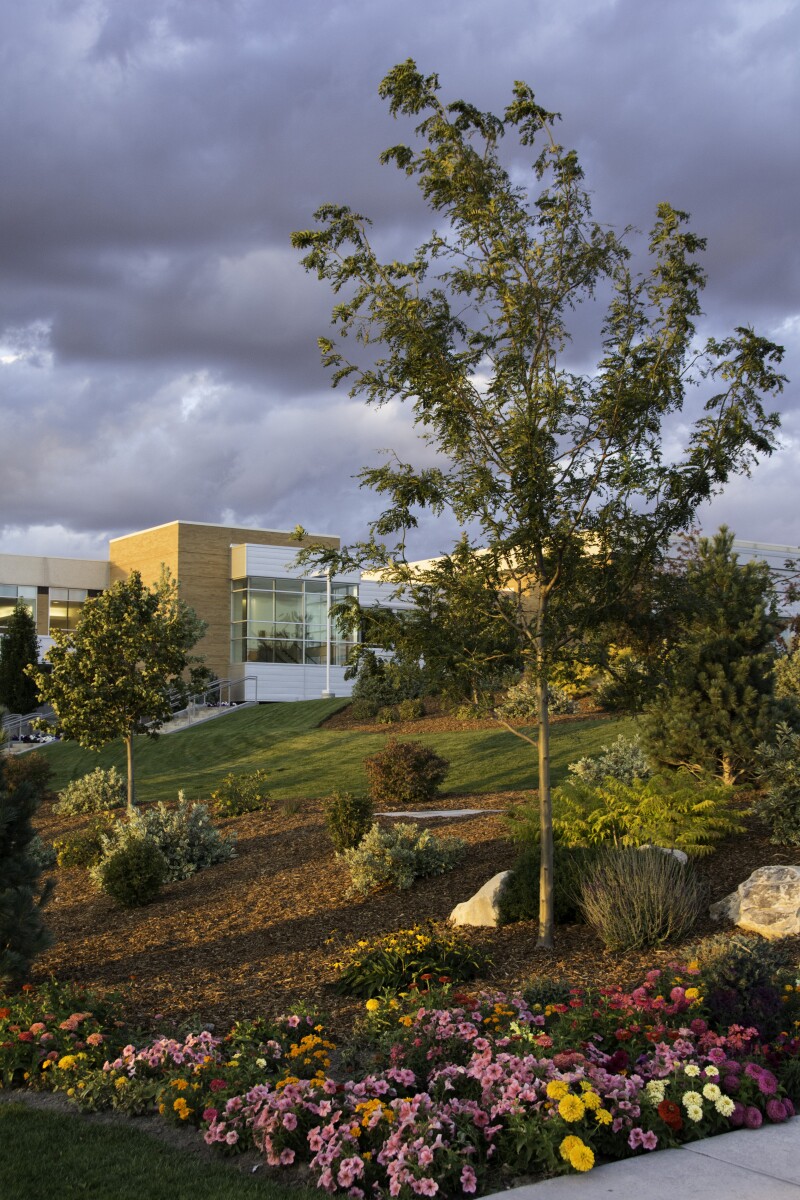 Gardens just outside the Hyrum Manwaring Center