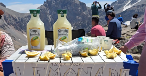 Lemonade Stand - Table Mountain 3.png