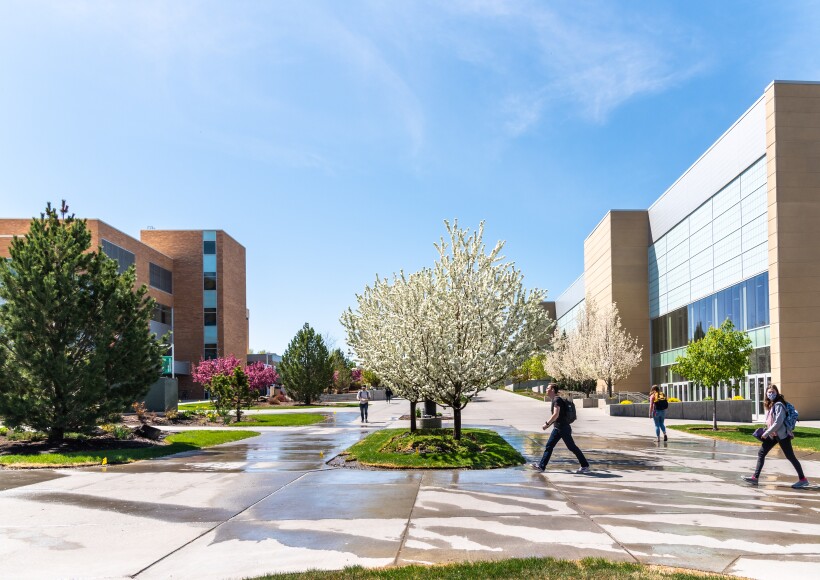 A picture of students walking across campus between the MC and the I-Center during spring time.