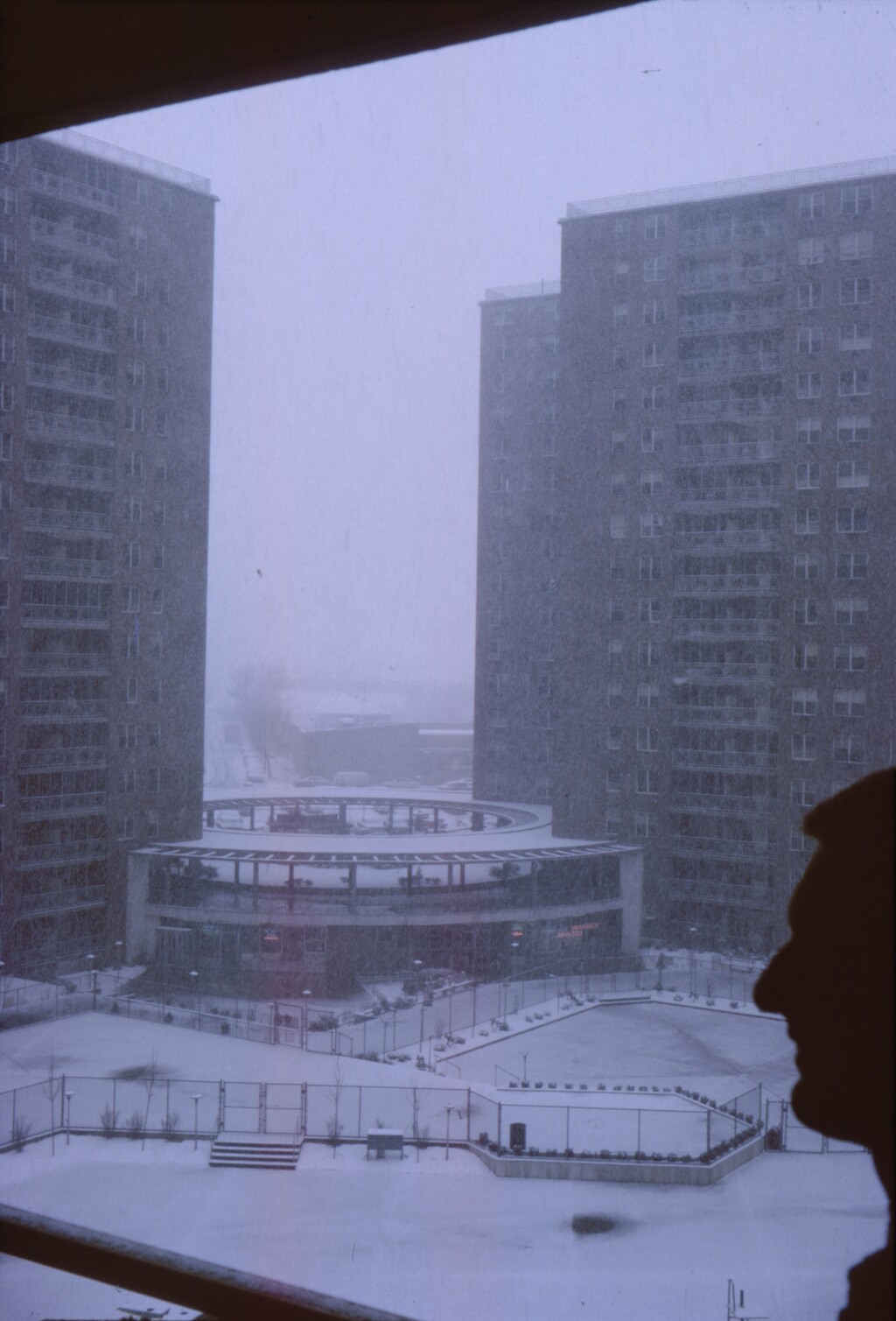Elder Coltrin - View from Brazil 7-D, March '65