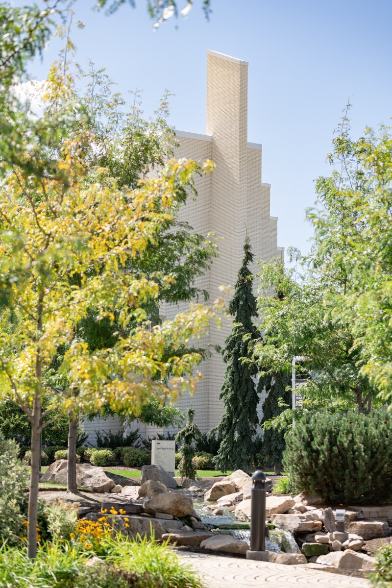 The Taylor building can be seen through the trees.