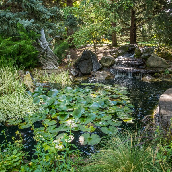 Ricks Garden Pond
