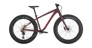 Fat Bike.png