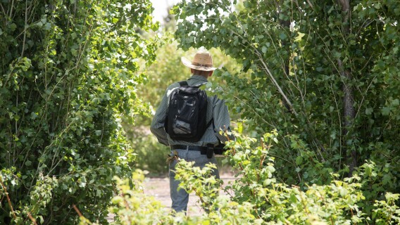 Horticulture students work in their gardens on campus