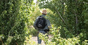Horticulture students work in their gardens on campus