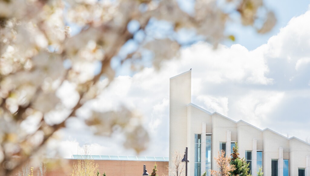 Picture of the top of the Taylor Building with Spring Blossom trees