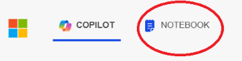 Copilot Notebook.png