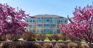 Beautiful spring flower trees in front of the Spori