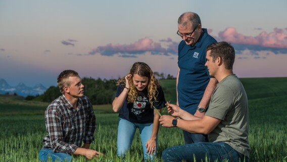 An AgriBusiness professor and students study a field.