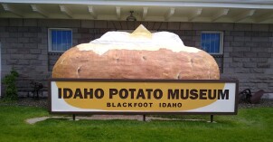 PotatoPaintedMay2020.jpg