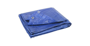 Tarp.png