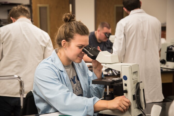 Students work in Brother Griffith's Microbiology Lab.