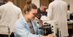 Students work in Brother Griffith's Microbiology Lab.