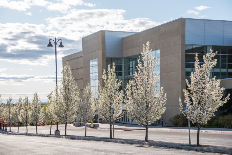 BYU-Idaho Campus during Spring