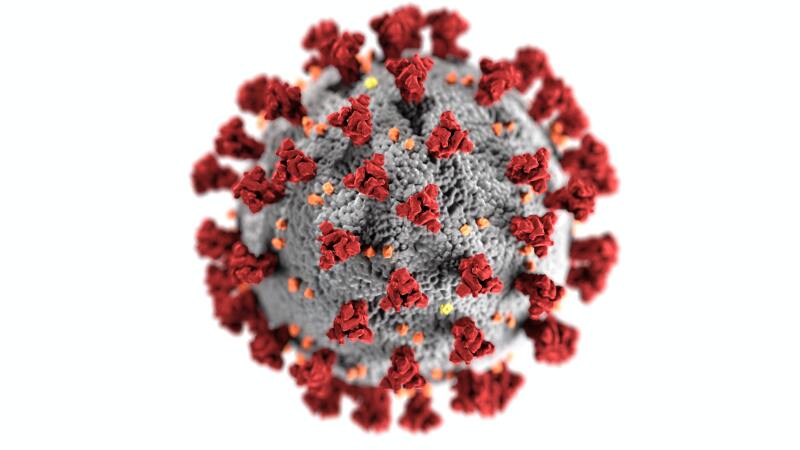 Photo of a virus molecule.