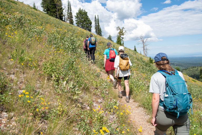 Five students enjoy student life by hiking in Grand Targhee National Forest, surrounded by wild flowers and pine trees with a sprawling view of a valley in the background.