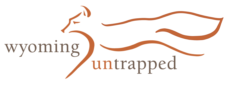 thumbnail_Main Logo.png
