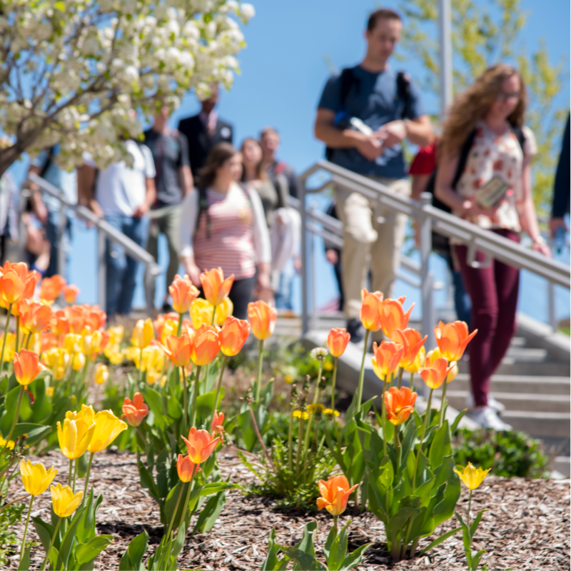 A crowd of students on campus during spring semester