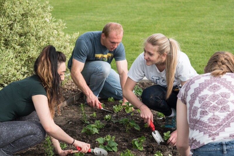 Students gather together to plant flowers on the temple grounds.