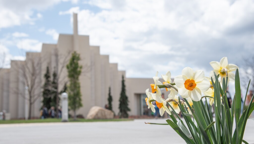 Spring On Campus - May 2022
