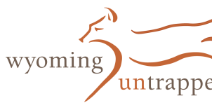 thumbnail_Main Logo.png