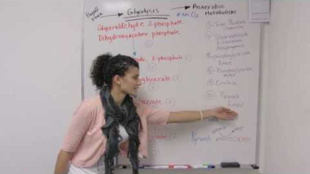 Exercise Physiology Student Guide BYUIdaho