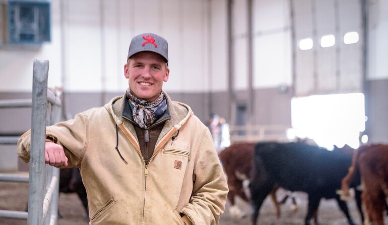 At the Livestock Center, a BYU-Idaho student stands in front of cattle and smiles.