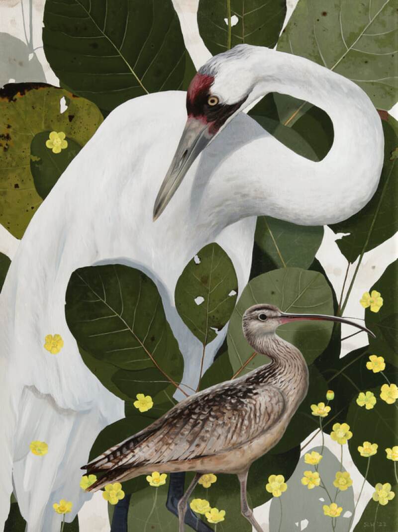 whooping-crane-and-curlew-shae-warnick-2023_orig.jpg
