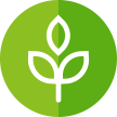 Spring semester icon